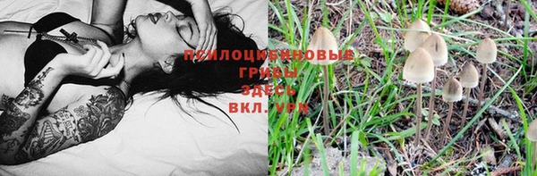 прущий лед Зеленокумск