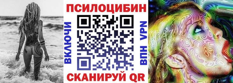Купить где  Альметьевск  Псилоцибиновые грибы Psilocybine cubensis 